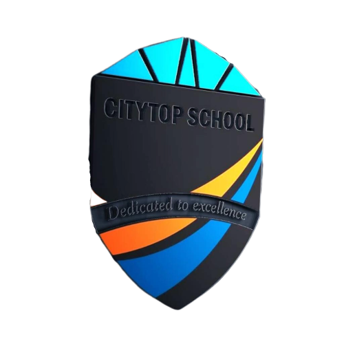 citytop school logo
